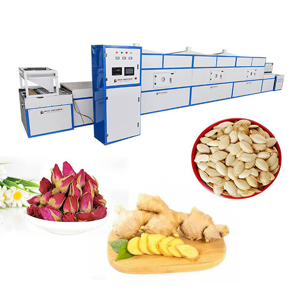 Microwave Fruit Drying Equipment/Drying Fruit Chips in Microwave