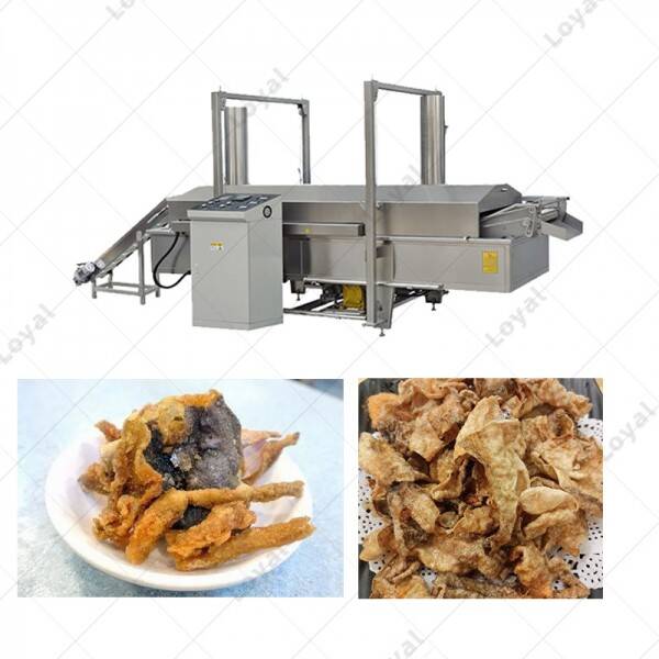 Stainless Steel Continuous Fish Skin Fryer Machine